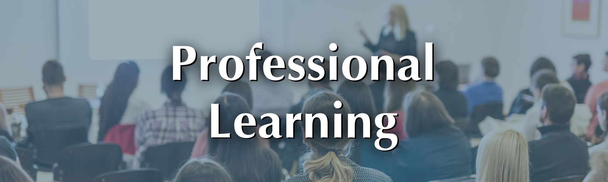 Professional Learning Header