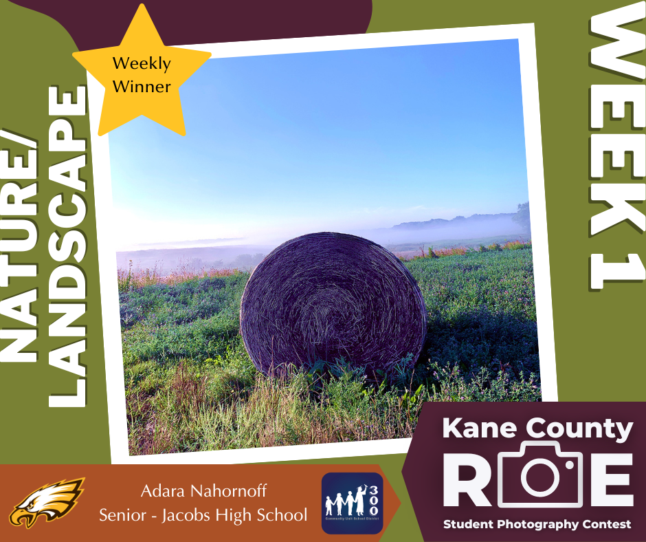 Kane County ROE Student Photography Contest Week 1 Winners Announced