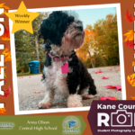 Kane County ROE Student Photography Contest Week 3 Winners Announced