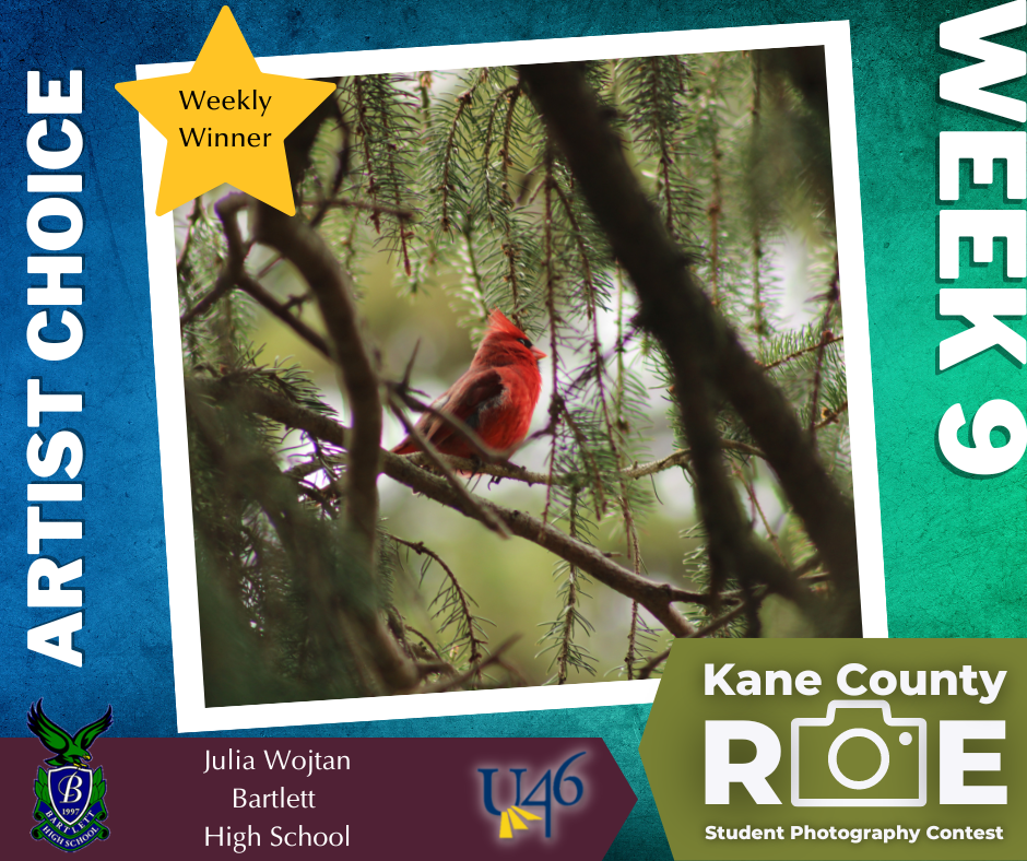 Final Week of the Kane County ROE Student Photography Contest Winners Announced