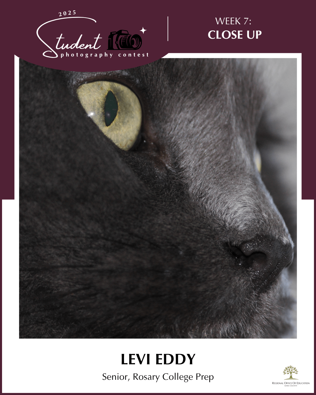 A Fleeting Glimpse - Levi Eddy, Rosary College Prep