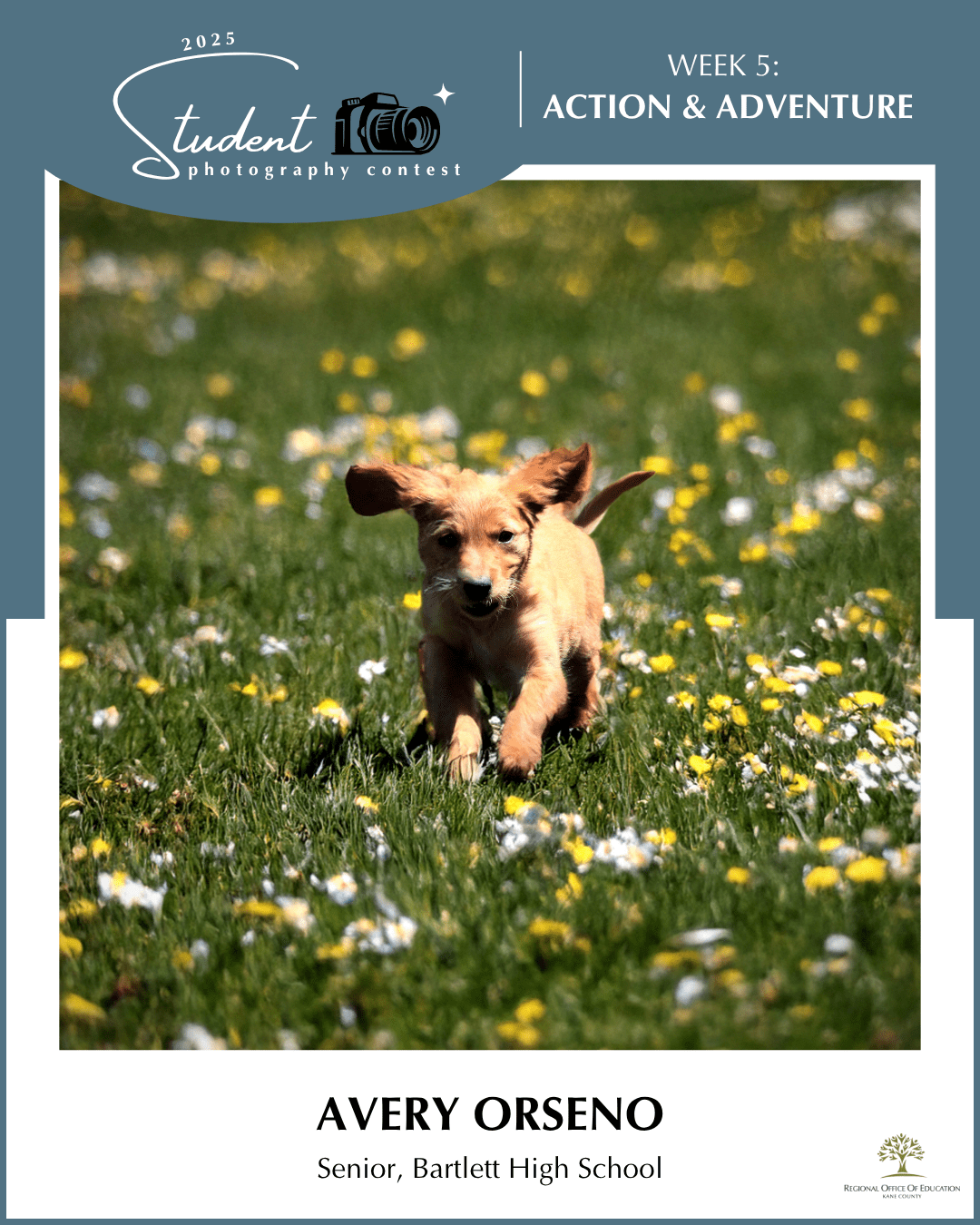 Airplane Ears - Avery Orseno, Bartlett HS (District U-46)