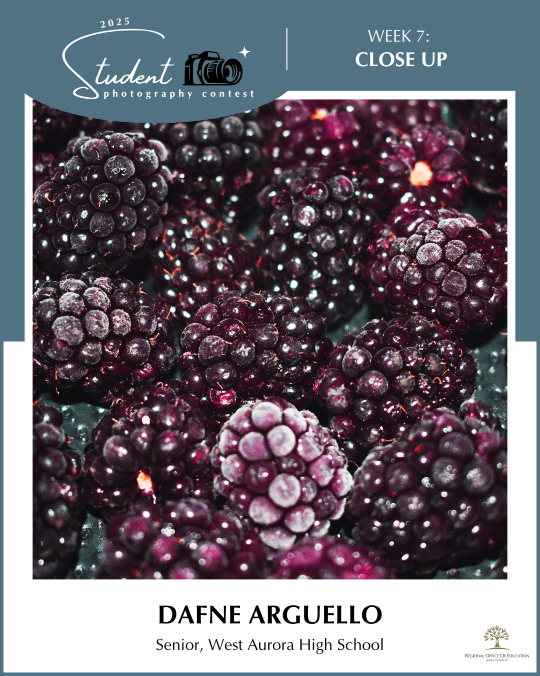 Berries - Dafne Arguello, West Aurora HS (District 129)