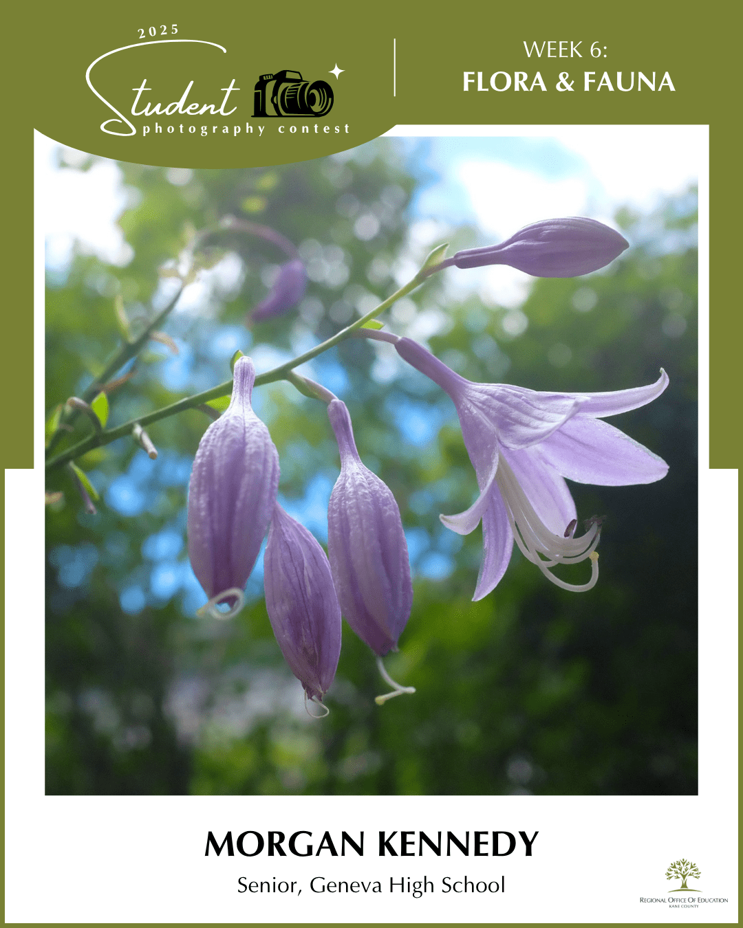 Blooming - Morgan Kennedy, Geneva HS (District 304)
