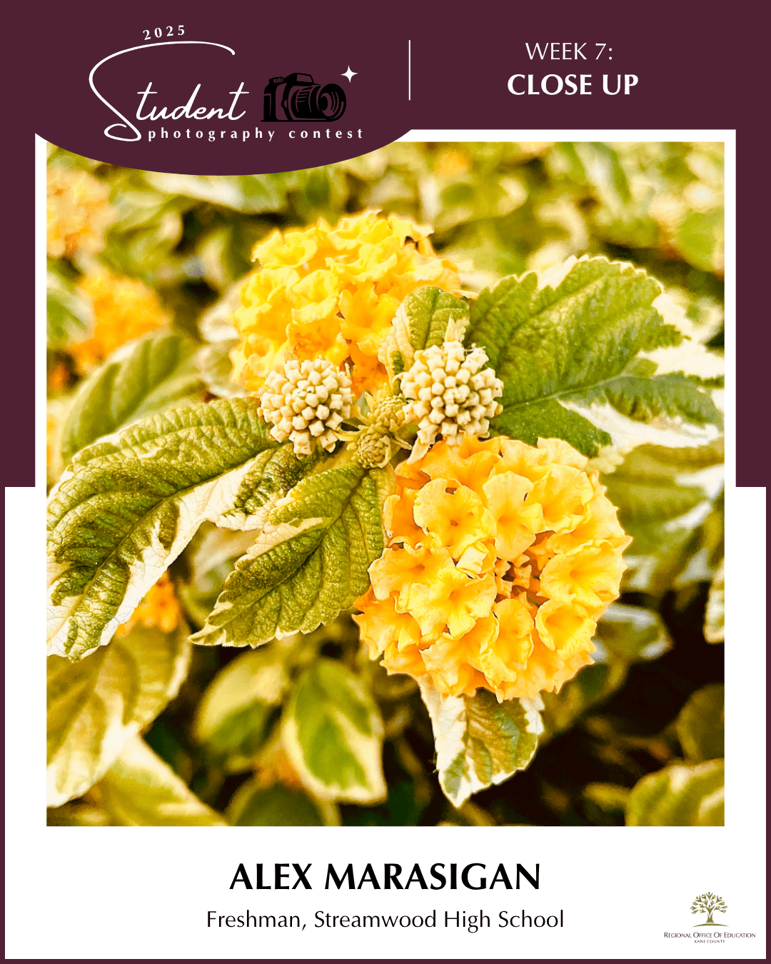 Close Up - Alex Marasigan, Streamwood HS (District U-46)