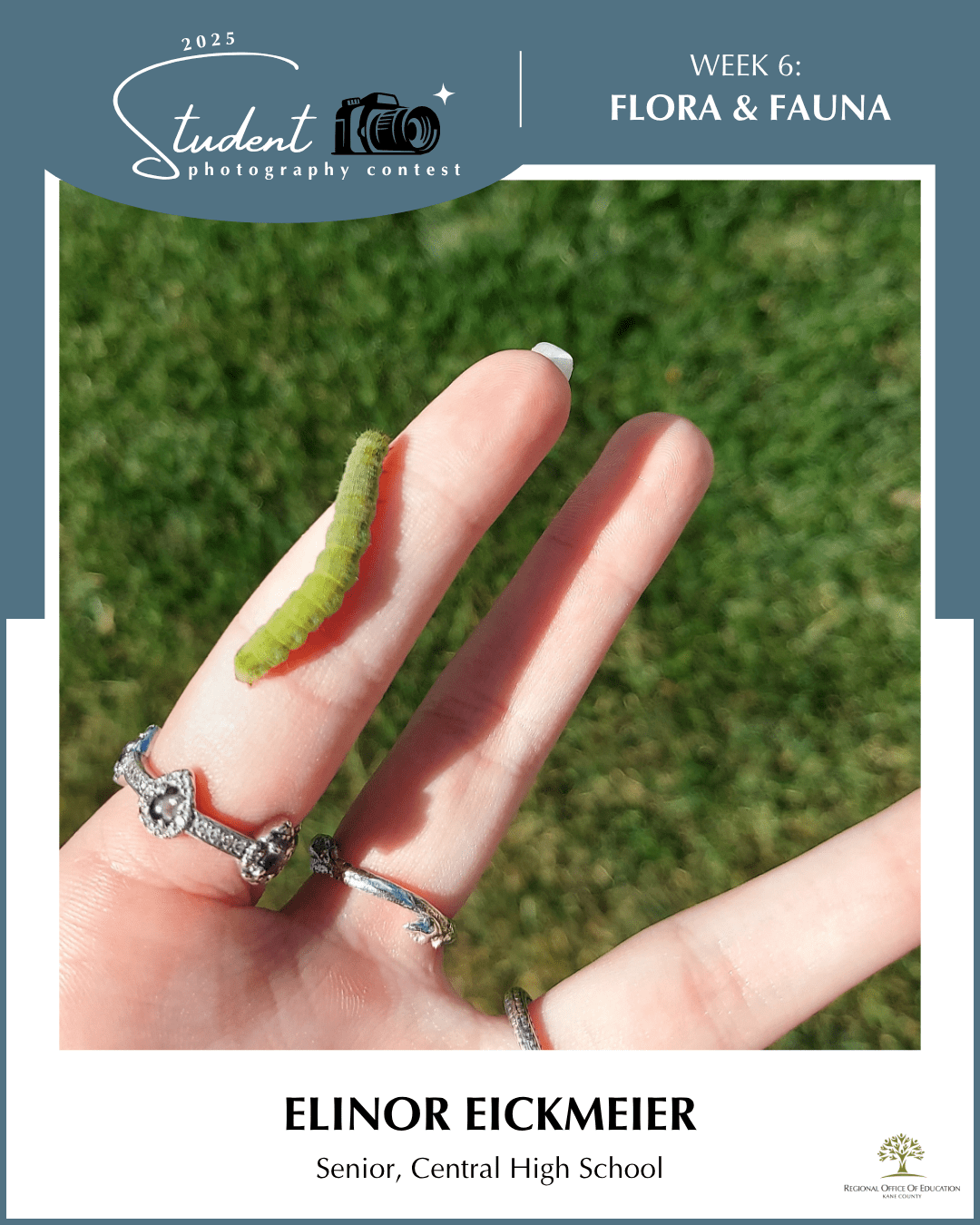 Curious Caterpillar - Elinor Eickmeier, Central HS