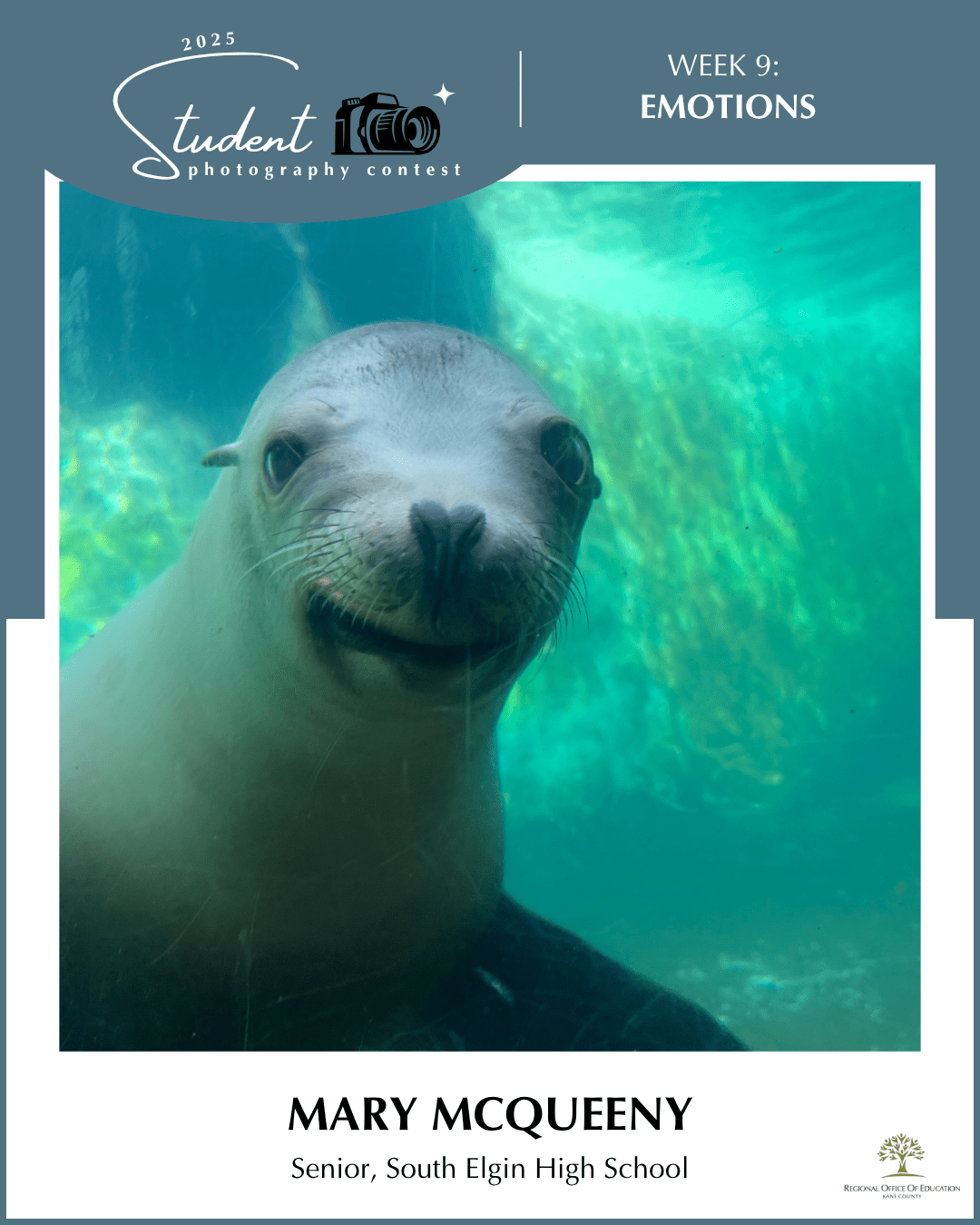 All Smiles - Mary McQueeny, South Elgin HS (District U-46)