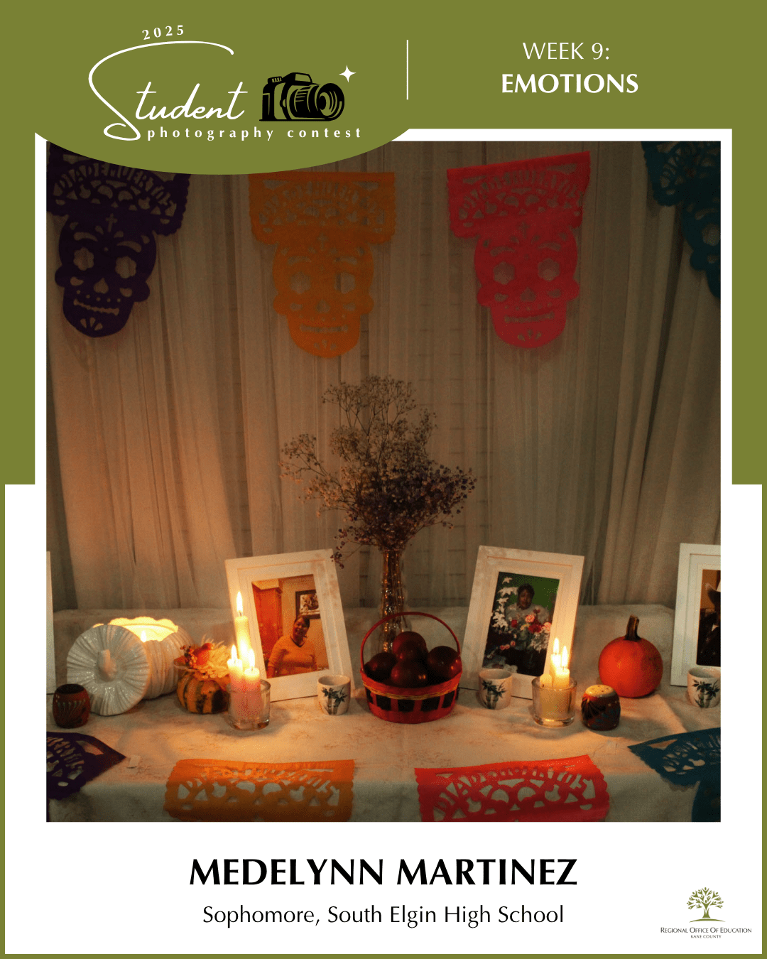 Don't Forget - Medelynn Martinez, South Elgin HS (District U-46)