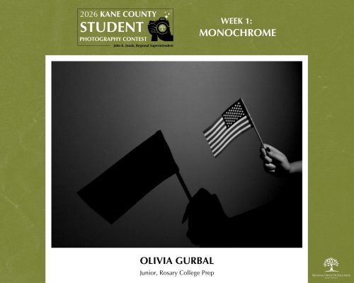 Monochrome photo of a hand waving a miniature U.S. flag with its shadow prominently displayed.
