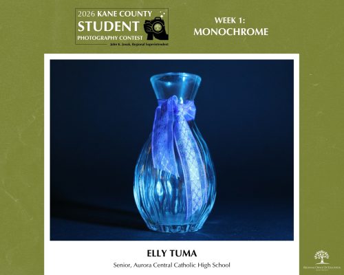 Elegant glass vase with a tied blue ribbon, photographed in low light for a monochrome effect.
