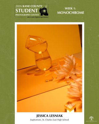 Close-up of a glass half-filled with water, leaning on an orange backdrop with orange flowers and scattered clear cubes.
