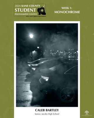 Monochrome photo of parked cars at night with mist and streetlights creating a moody atmosphere.