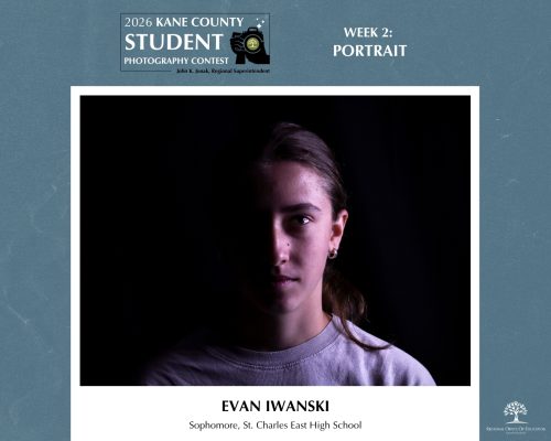 Portrait of a person looking intensely straight on, left half of face covered by heavy shadow