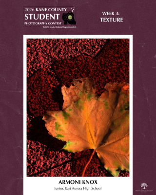 A crisp orange leaf lying on a red, speckled floor.