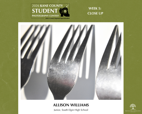 Three forks lined up against a white wall