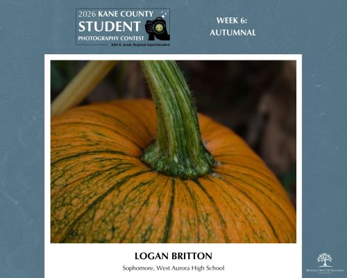 Close up of an orange pumpkin with dark green stem and textured lines